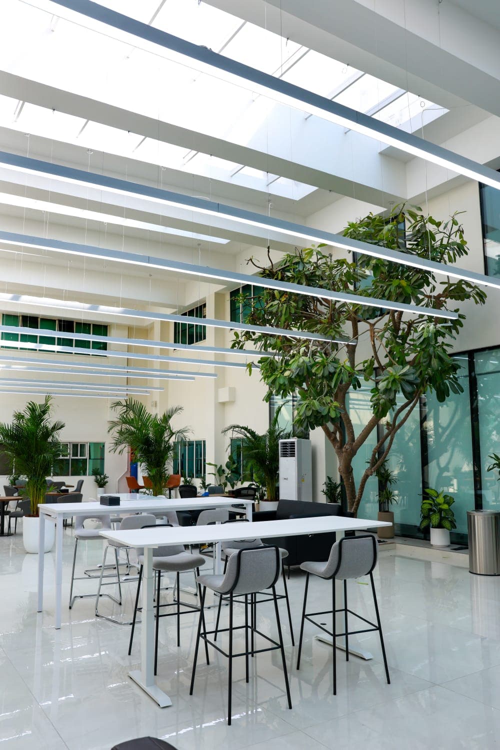 High-level skylights and linear luminaires, seen from the floor