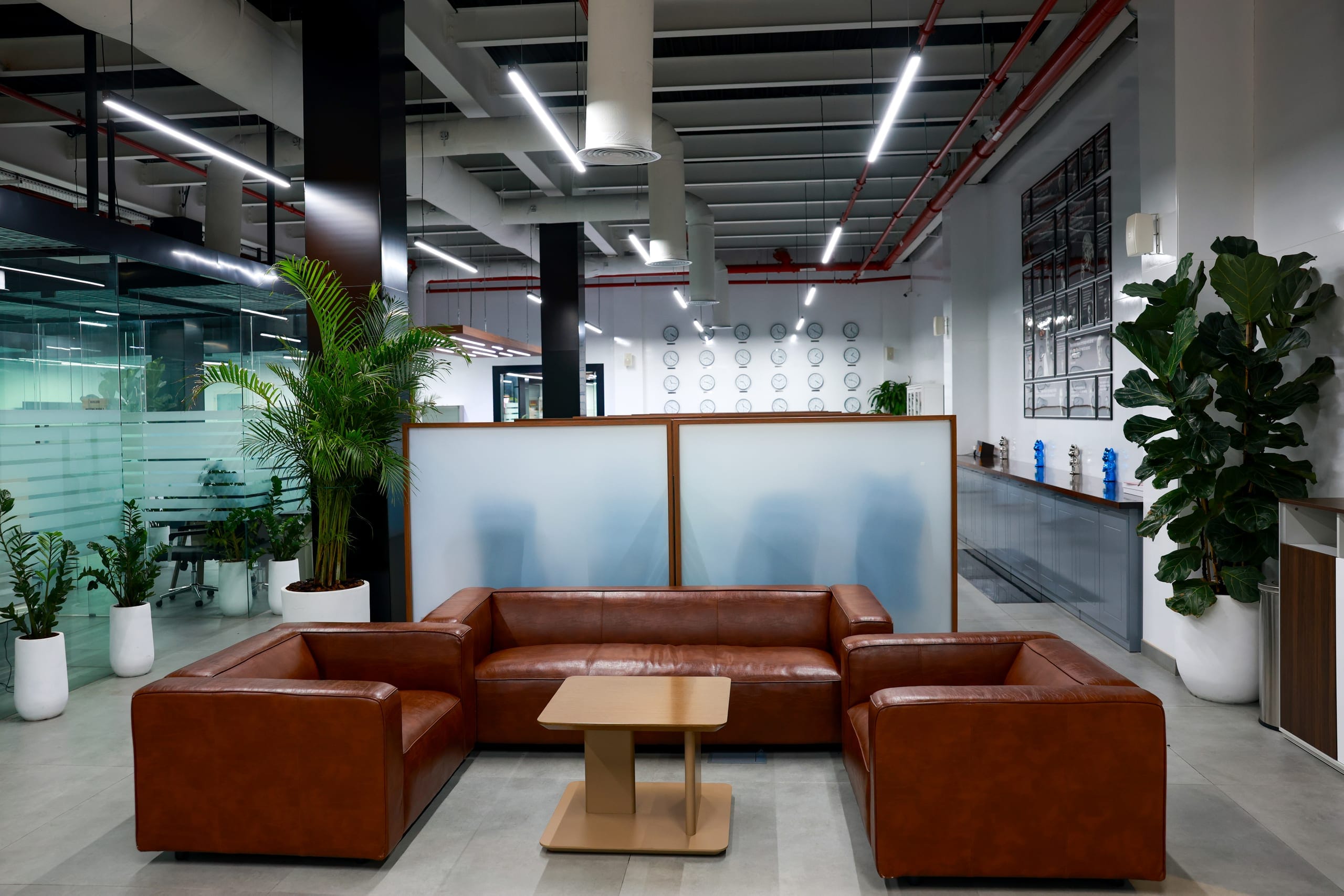 An office lounge of leather seating, planting and glazed partitions