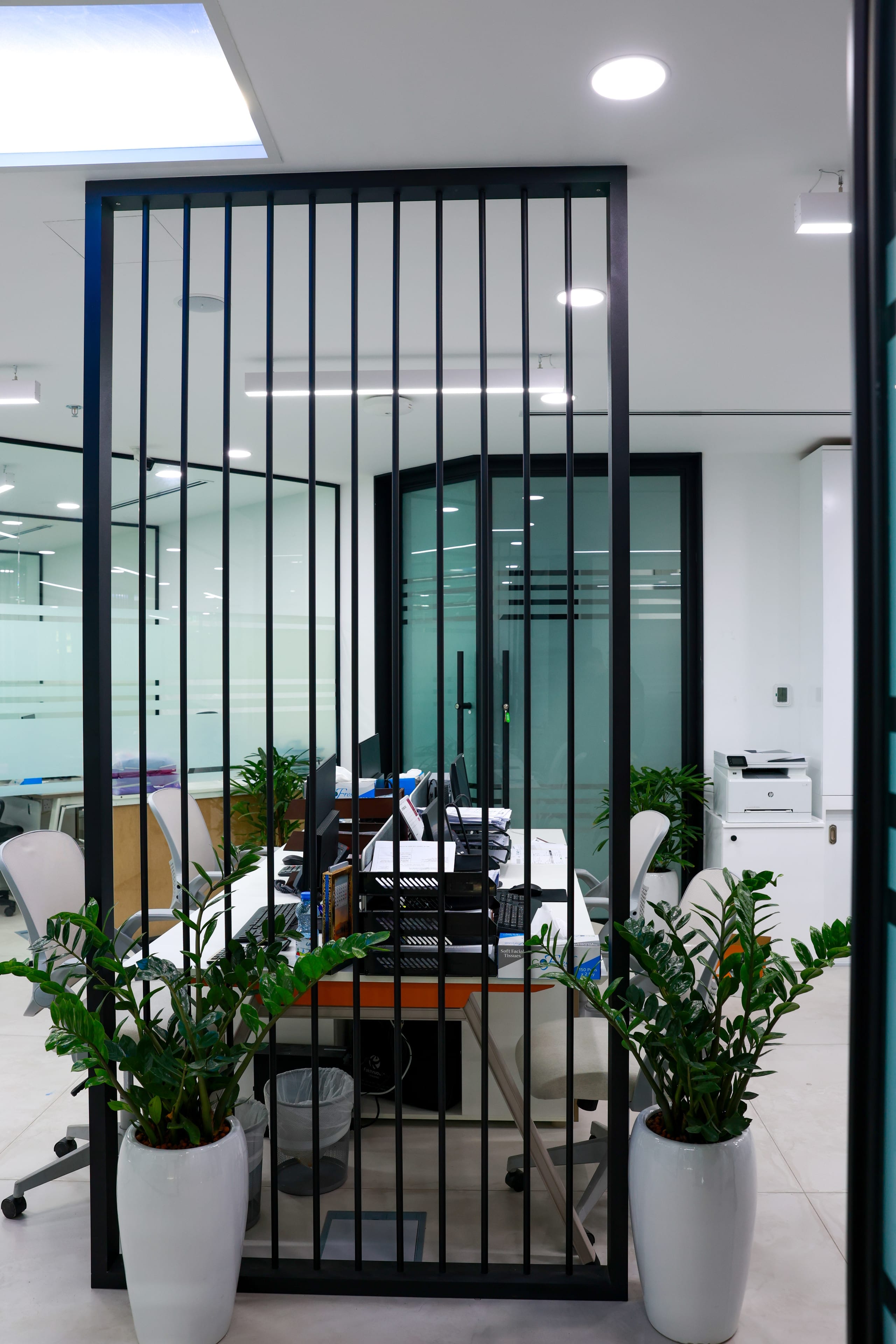 Office Partition Upgrade — project photograph 2